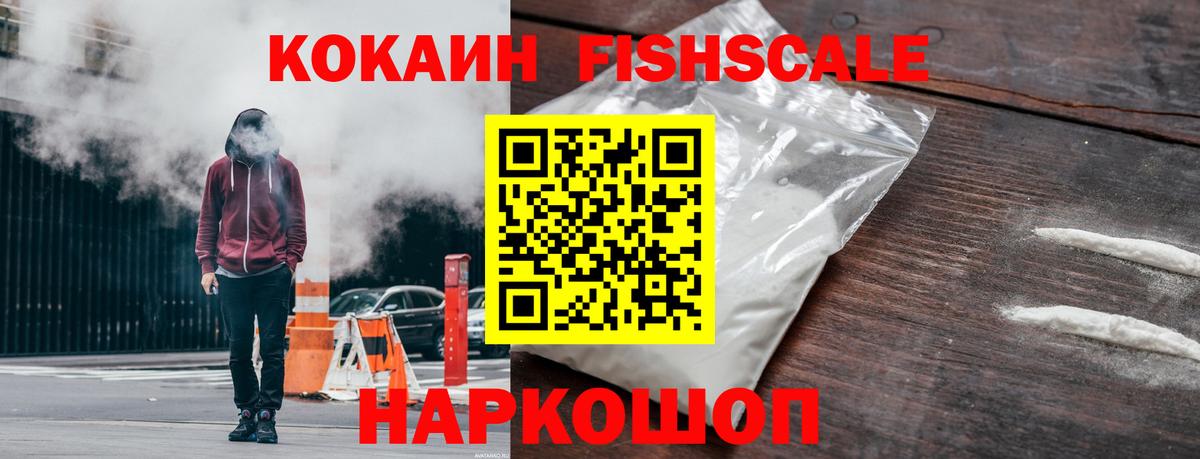 COCAIN Fish Scale  Вход с VPN  Губаха 