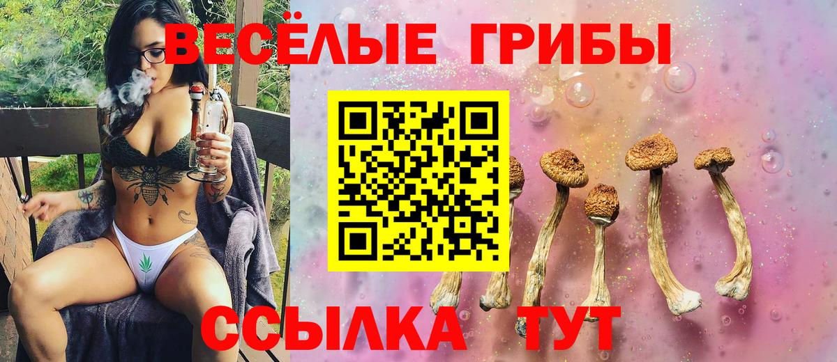 Галлюциногенные грибы ЛСД  Псилоцибиновые грибы мицелий  Губаха  Вход с VPN 